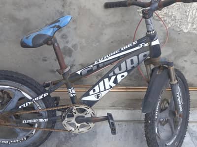 cycle