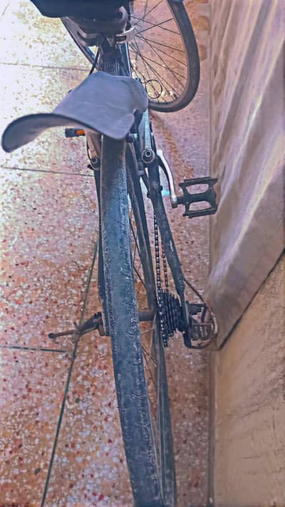 Racer Bycycle For Sale 10\10 just Like New