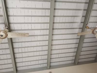 celling fan