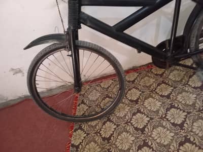 babay cycle