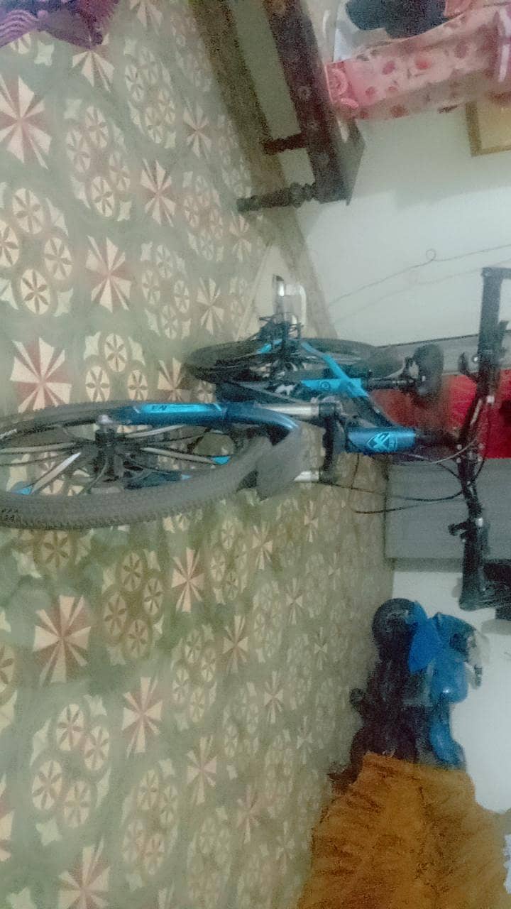 Bicycle 1