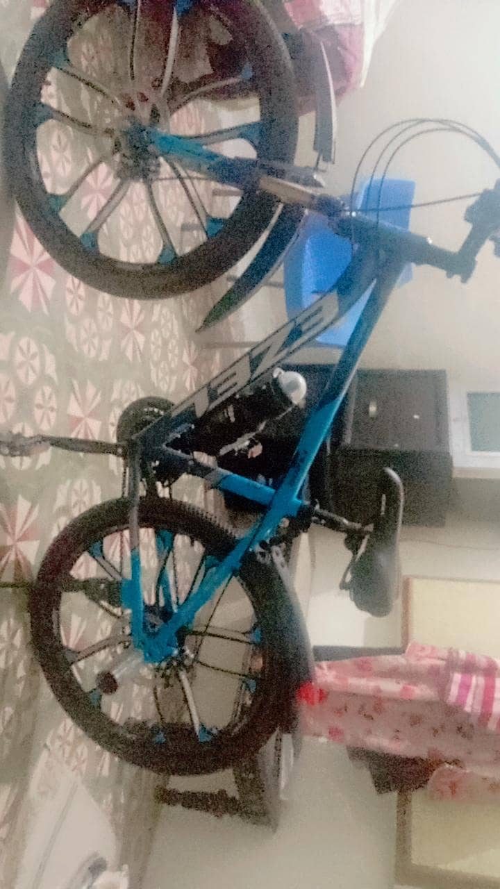 Bicycle 3