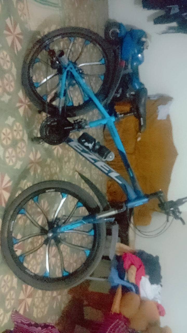 Bicycle 4