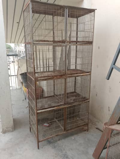 bird cage