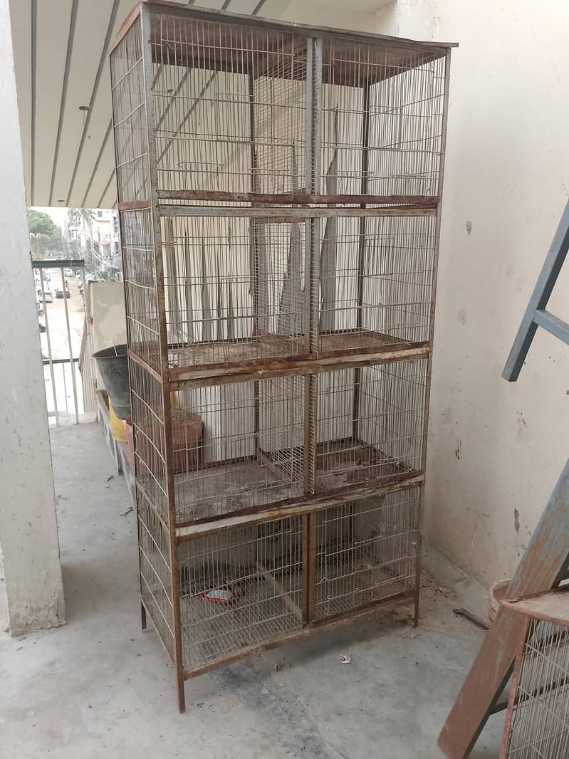 bird cage 0