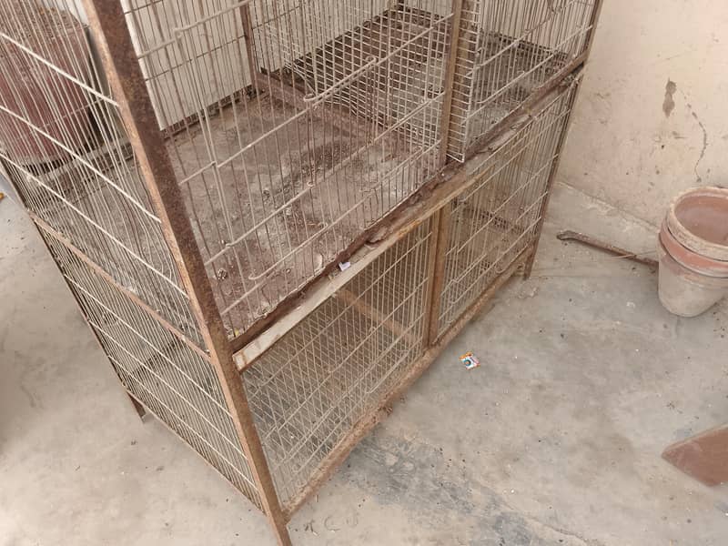 bird cage 1