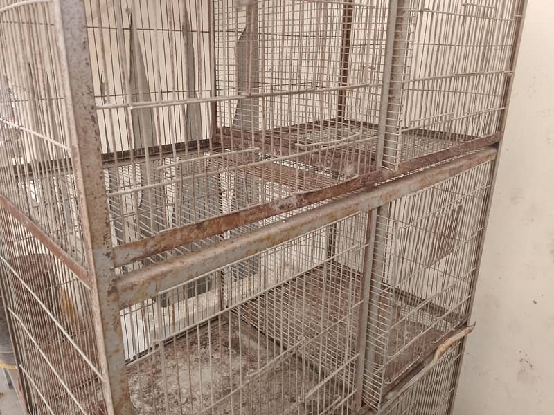 bird cage 2