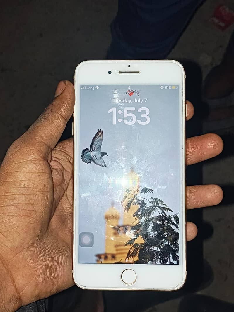 Apple iPhone 8 Plus 1