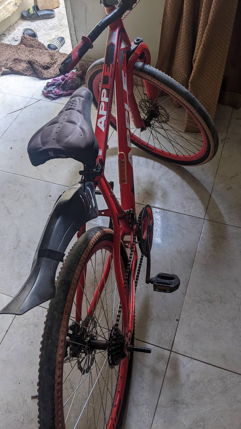 Cycle 2