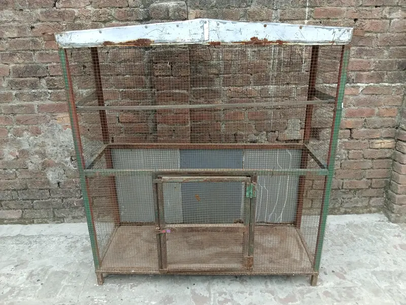 Bird Cage, Lohe Ka Pinjra | Pipe Jaali Aur Chadar Sy Tayar — photo 2