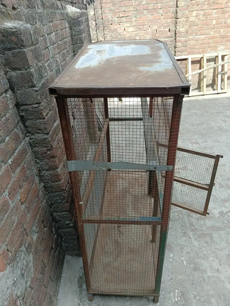 Bird Cage, Lohe Ka Pinjra | Pipe Jaali Aur Chadar Sy Tayar — photo 4
