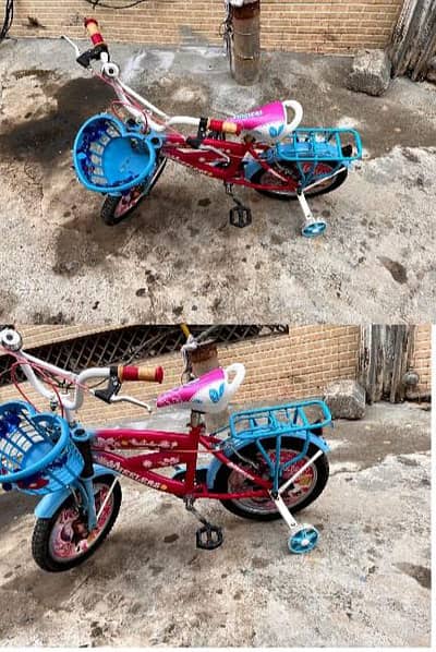 Girls Bicycle ages 8-12