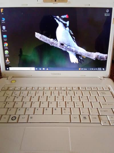 Toshiba Satellite T135 Laptop For sale