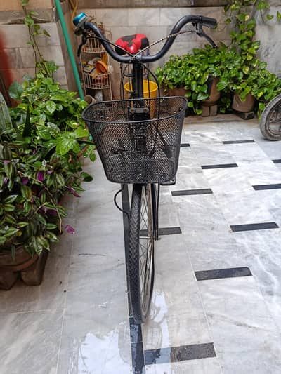 bicycle