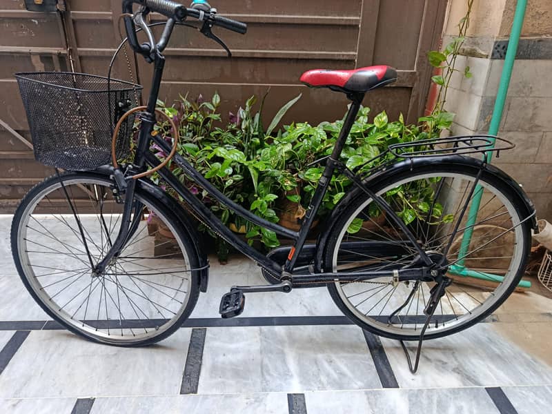 bicycle 2