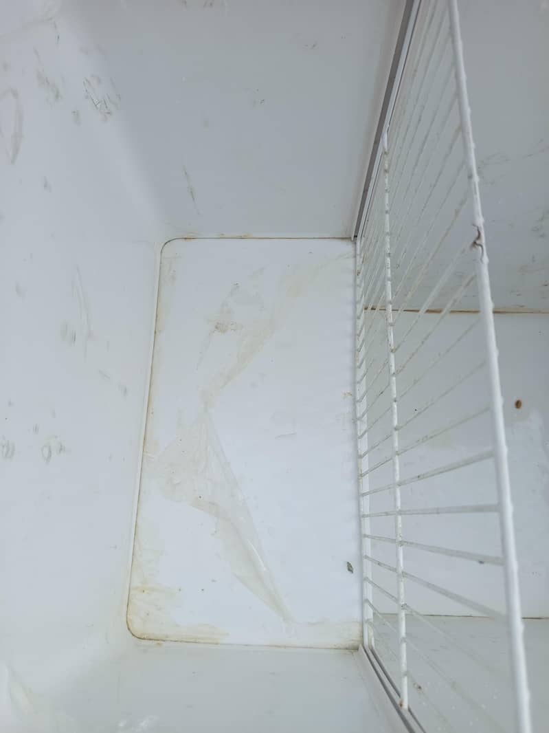 Freezer medium waves 2