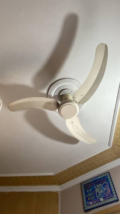 parvaz fan