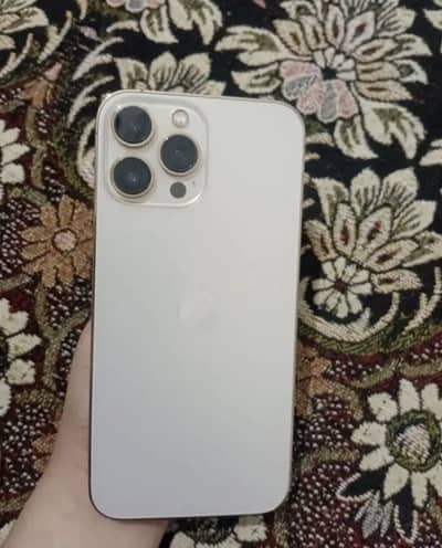 Apple iPhone 13 Pro Max