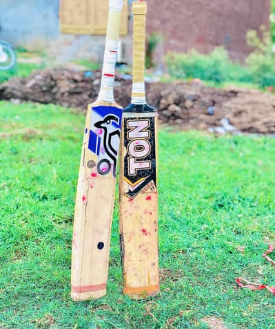 hard ball bat
