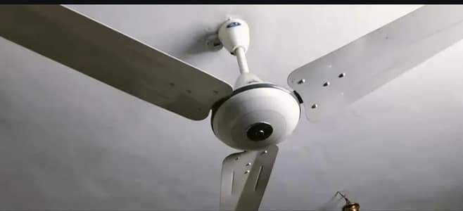 pak fan