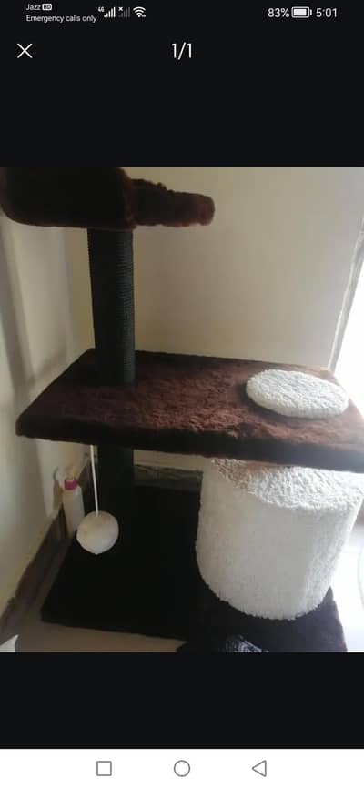 cat scratcher