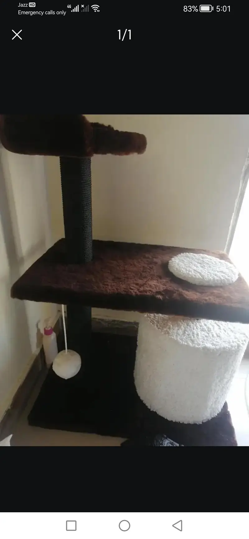 cat scratcher