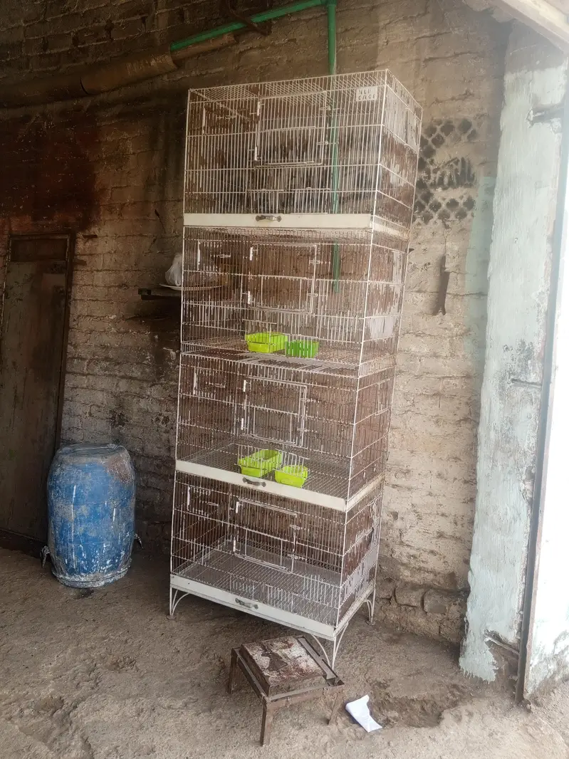 used cages — photo 2