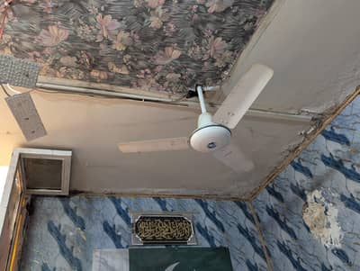 fan medium size
