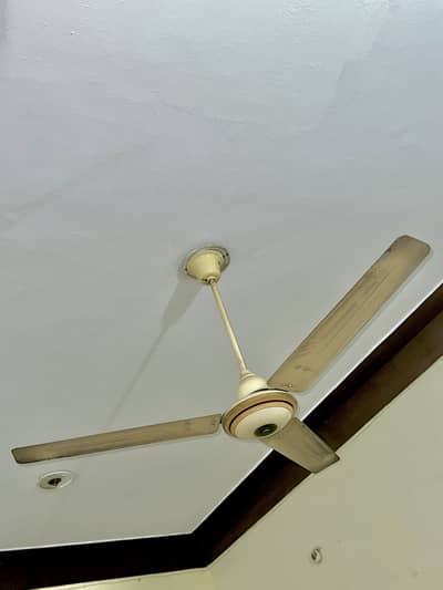BeetaFans seilling fan