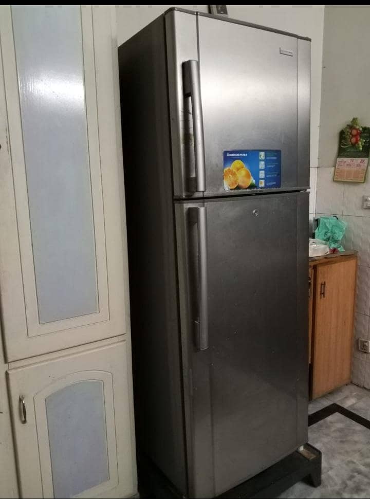 frige 2