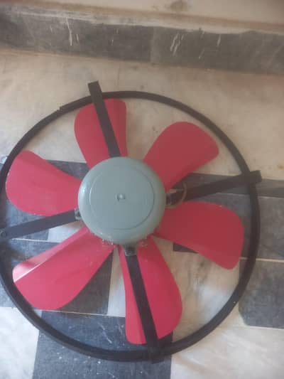 fans f