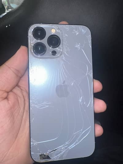 Apple iPhone 13 Pro Max