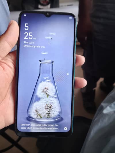 OPPO A31