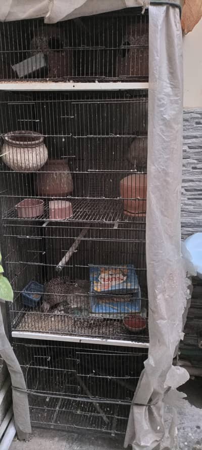 Animal Cage 4 in 1