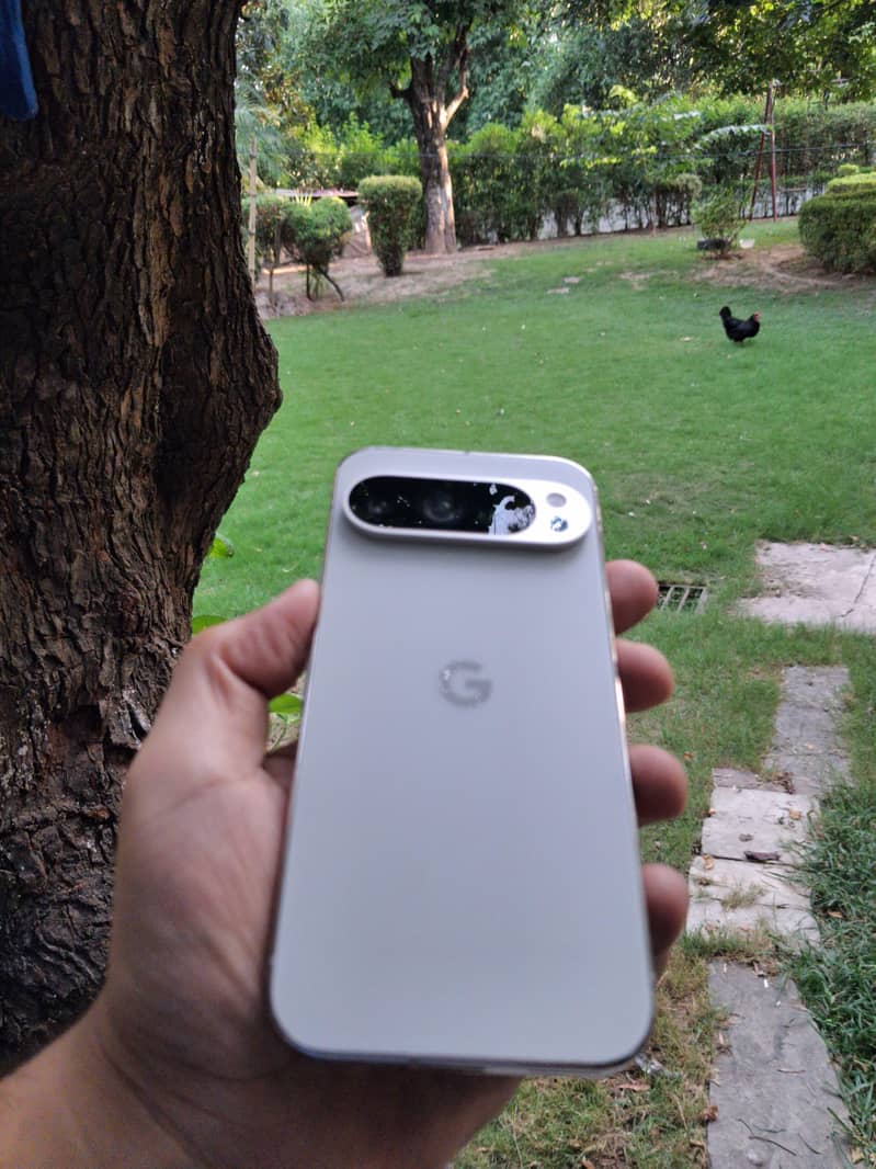 Google Pixel 9 Pro 0