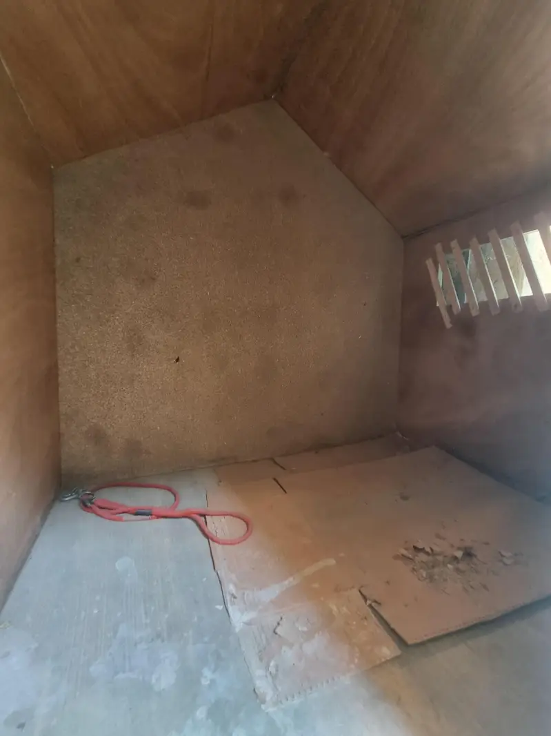 DOG HOUSE FOR SALE — photo 6