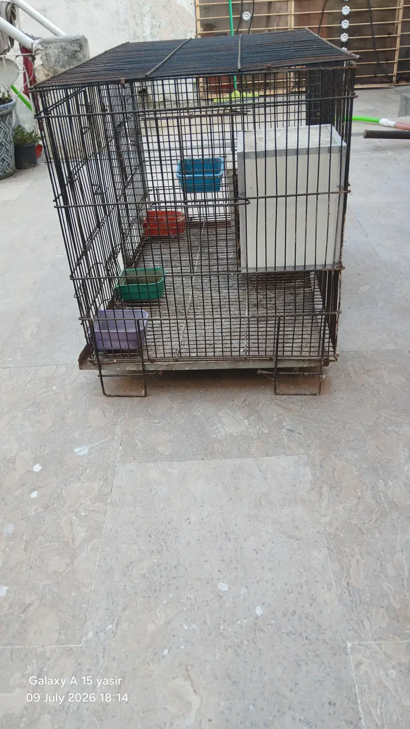 cage. — photo 2