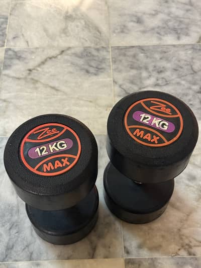 12 kg dumbbell pair