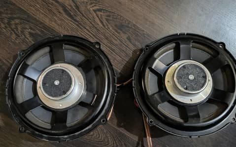 Harmon Kardon 8' double coil subwoofers