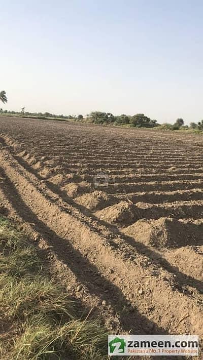 Agriculture Land for Sale