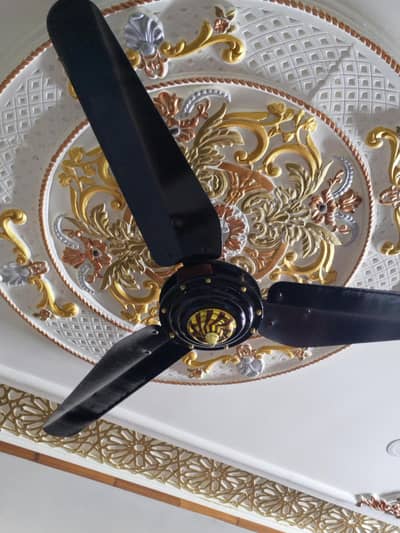 2 fans used but good condition. .