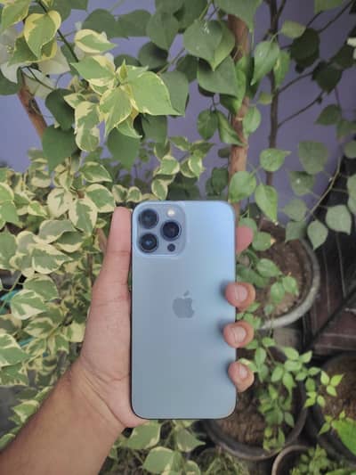 iPhone 13 Pro Max non pta jv