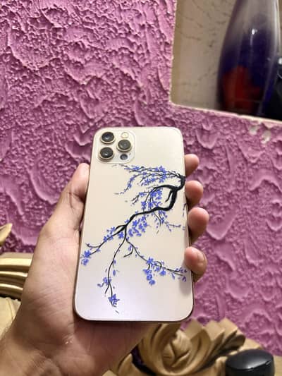 Apple iPhone 12 Pro