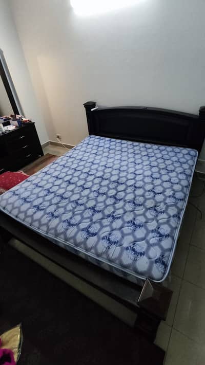Master Molty Foam Celeste spring mattress