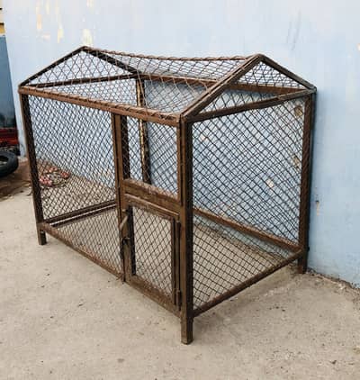 Hen & birds cage