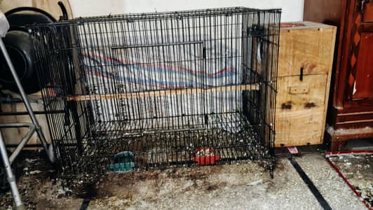 Massive Size Cage