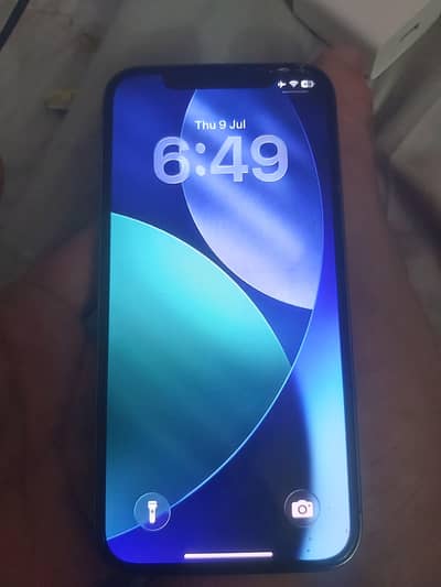 Apple iPhone 12 Pro