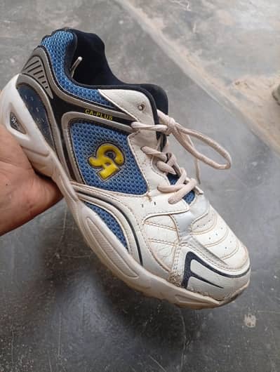 CA Cricket shoes 