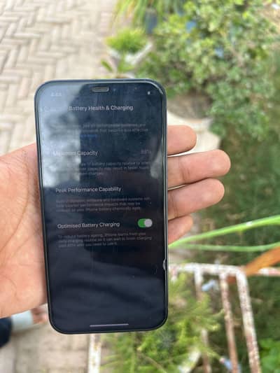 Apple iPhone 12
