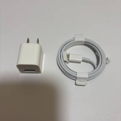 Apple Genuine Charger and Lightning Cable Set